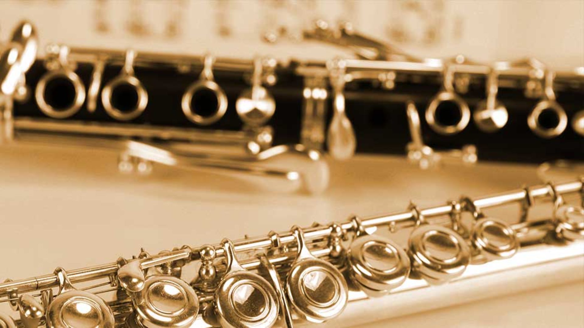 Lippemusic
